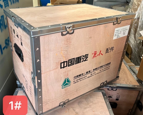 VG1560037011 Пистоновый комплект Sinotruk Howo Грузовики Запчасти двигателей