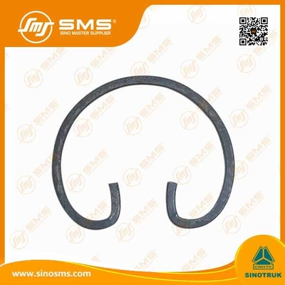 Кольцо сохранения Wd615 частей тележки ODM HOWO OEM WG1560030012
